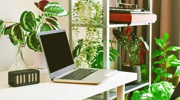 Research reveals a lot of green workspace benefits